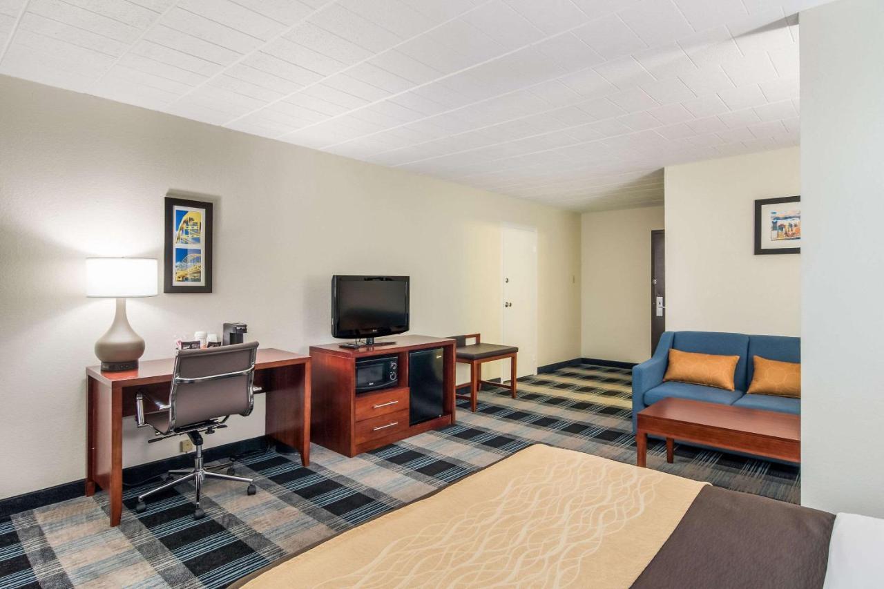 Comfort & Montrose Hill